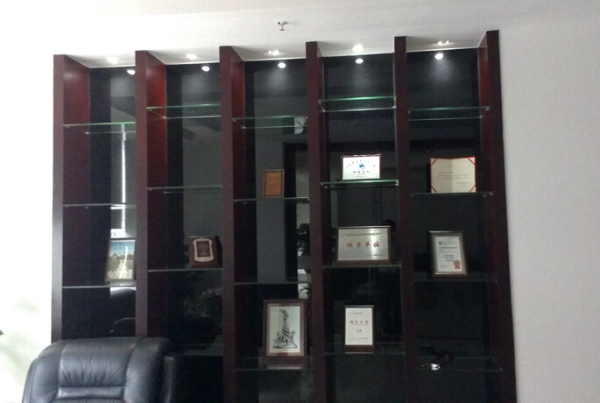 三甲醫(yī)療公司榮譽展示區(qū)